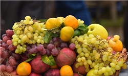 افزایش ۱۷ درصدی صادرات میوه/ تسهیلات برای حمل مستقیم کالا تا مرز